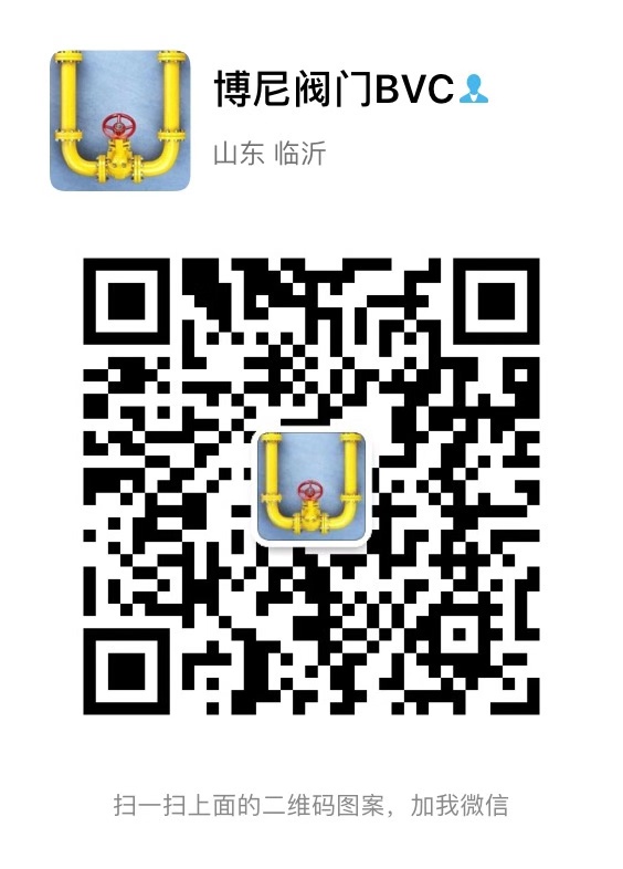 the qr code