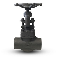 Forged Steel Globe Valves