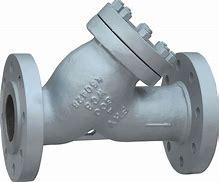 Y Type Strainers